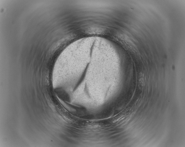 X0000088460547200706121507