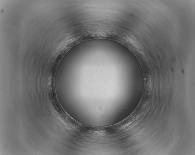 X0000088460548200706121507