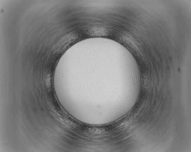 X0000088460549200706121507