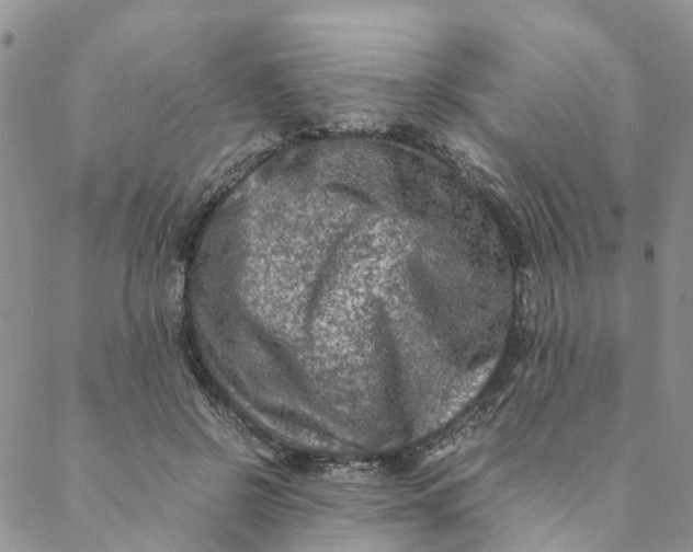 X0000088460550200706121507