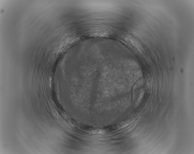 X0000088460551200706121507