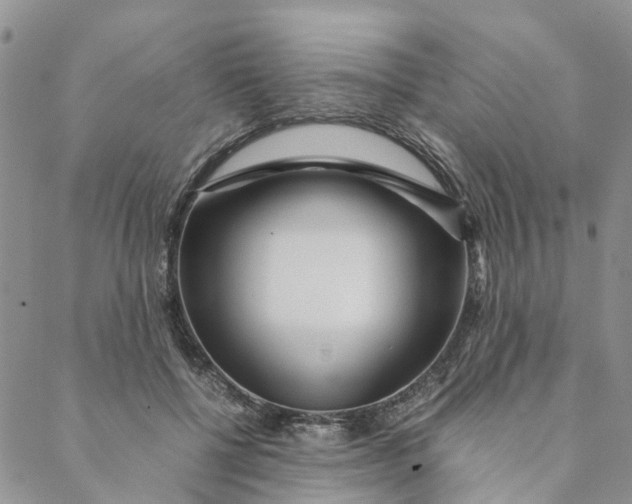 X0000088460552200706121507