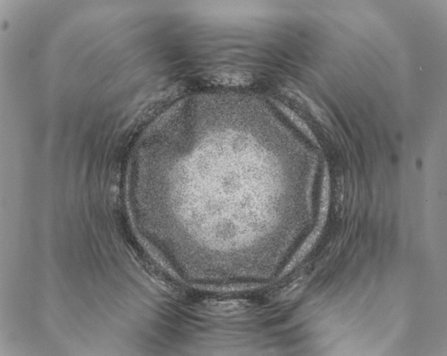 X0000088460553200706121507