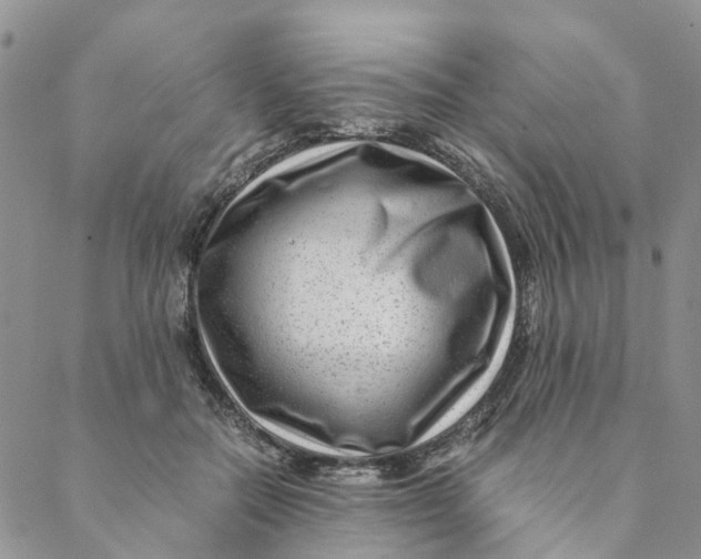 X0000088460554200706121507