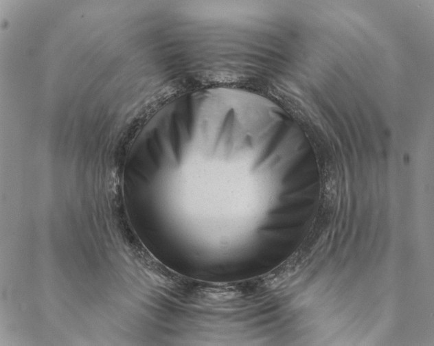 X0000088460555200706121507