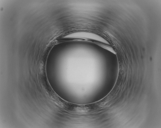 X0000088460556200706121507