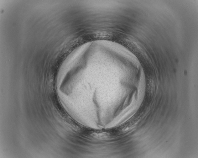 X0000088460557200706121507