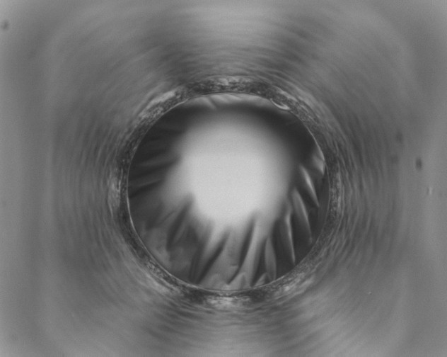 X0000088460558200706121507