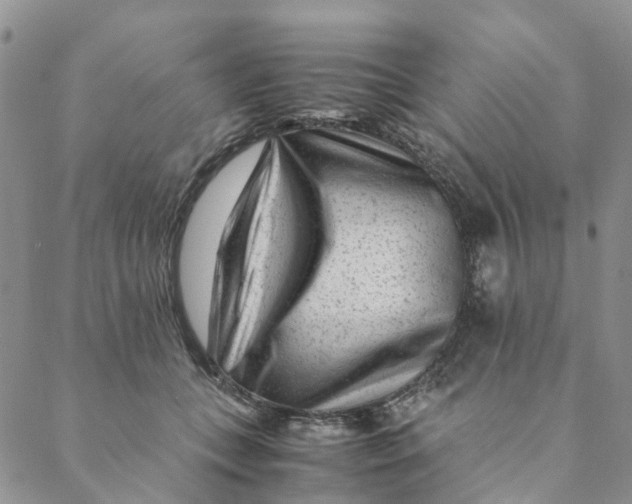 X0000088460559200706121507