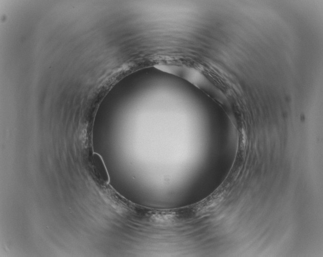 X0000088460560200706121507