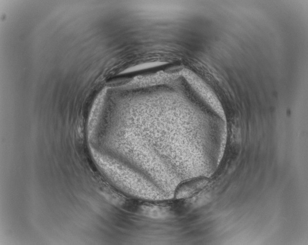 X0000088460561200706121507