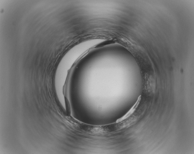 X0000088460562200706121507