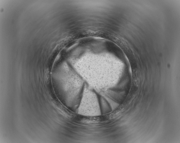 X0000088460563200706121507