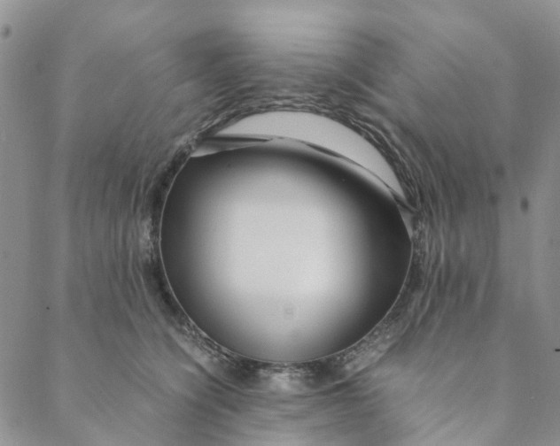 X0000088460564200706121507