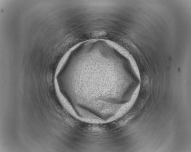 X0000088460565200706121507