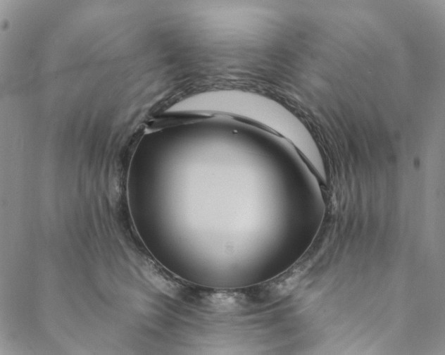 X0000088460566200706121507