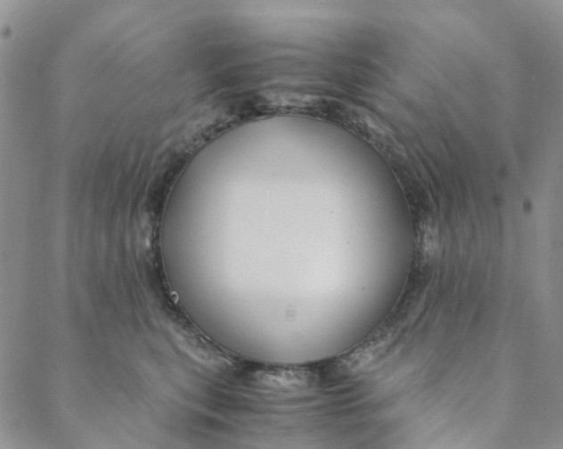 X0000088460567200706121507