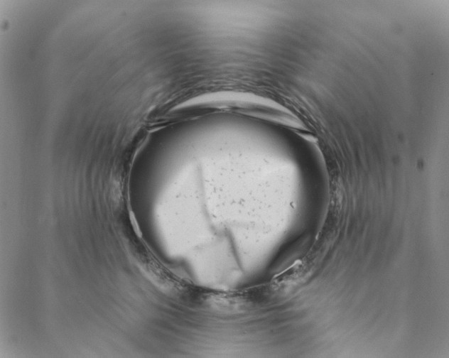 X0000088460568200706121507