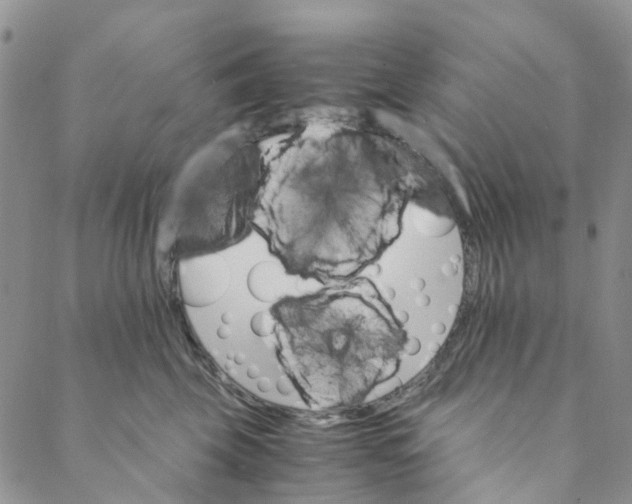 X0000088460569200706121507