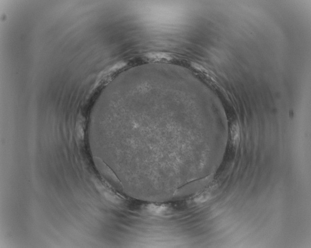 X0000088460570200706121507