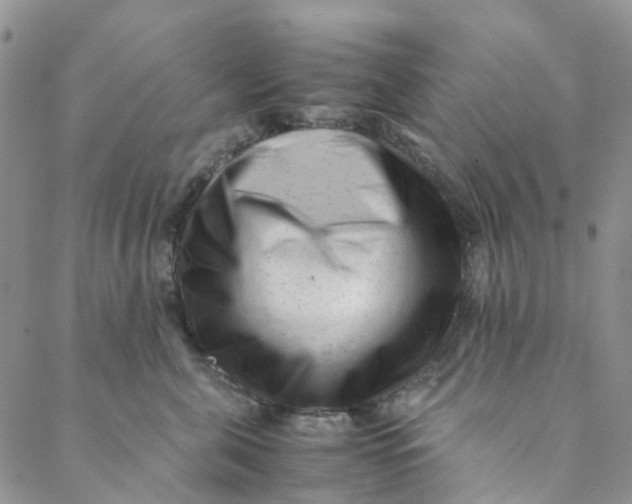 X0000088460571200706121507