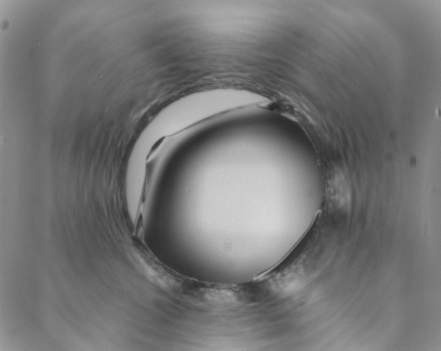 X0000088460572200706121507