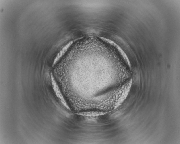 X0000088460573200706121507