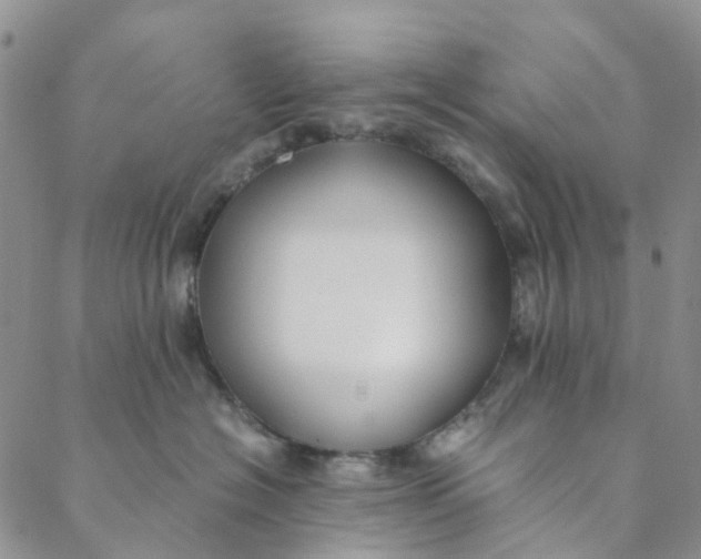 X0000088460574200706121507