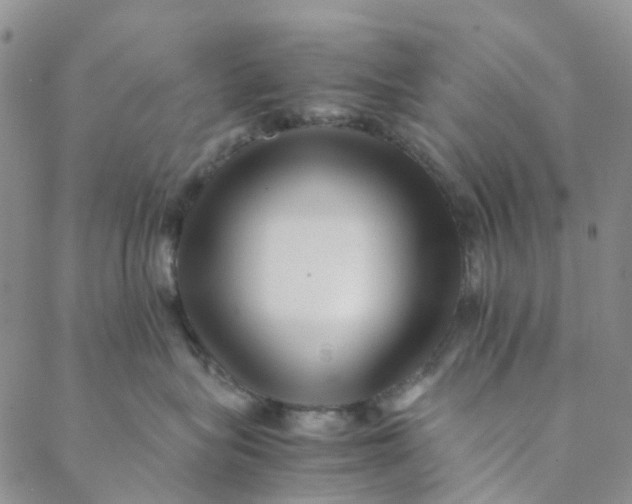 X0000088460575200706121507