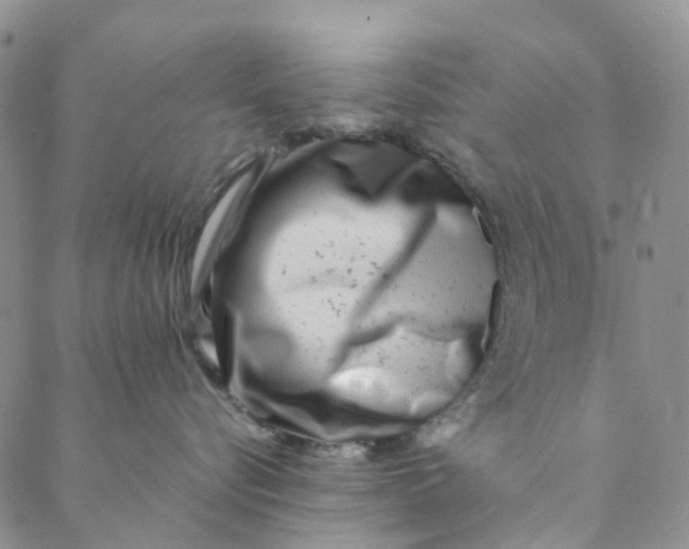 X0000088460576200706121507