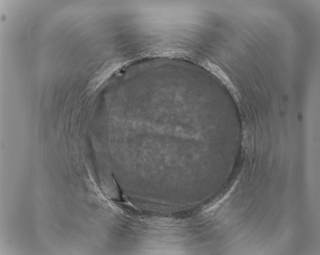 X0000088460577200706121506