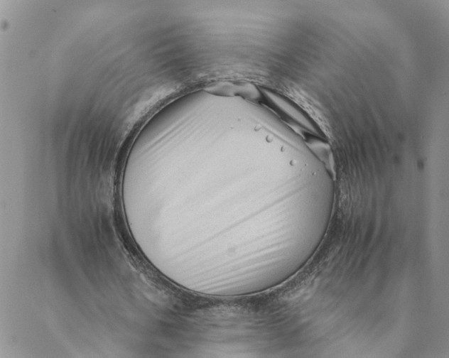 X0000088460578200706121506