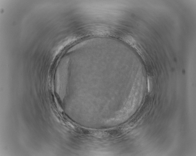 X0000088460579200706121506