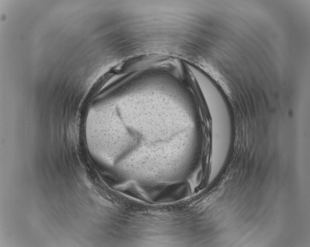 X0000088460580200706121506