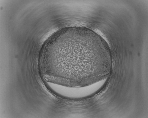 X0000088460581200706121506