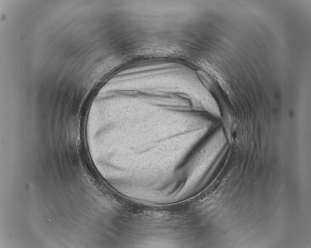 X0000088460582200706121506