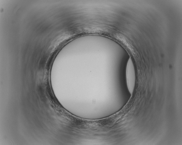 X0000088460583200706121506