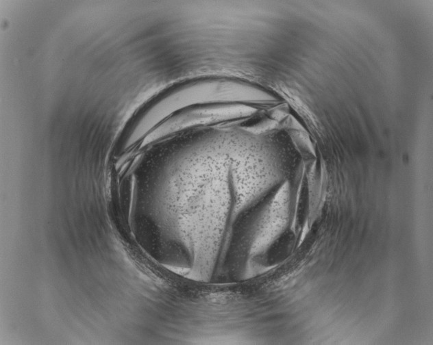 X0000088460584200706121506