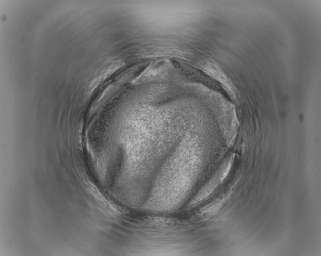 X0000088460585200706121506