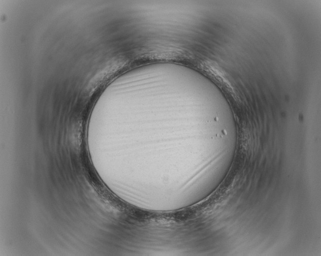 X0000088460586200706121506