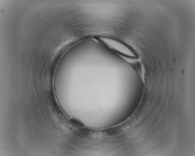 X0000088460587200706121506