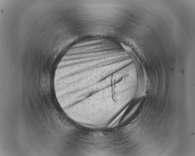 X0000088460588200706121506