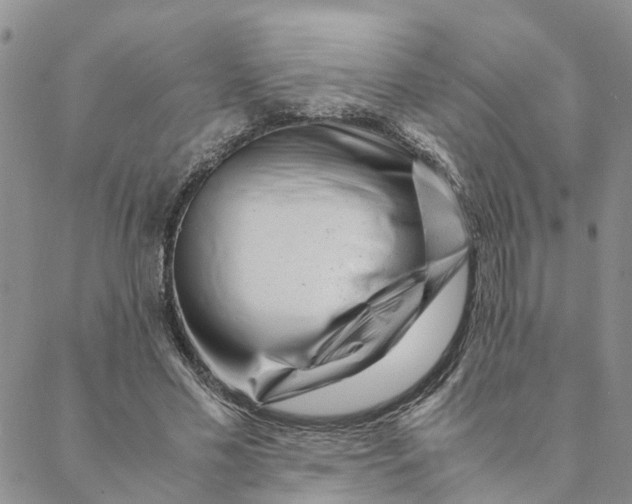 X0000088460589200706121506