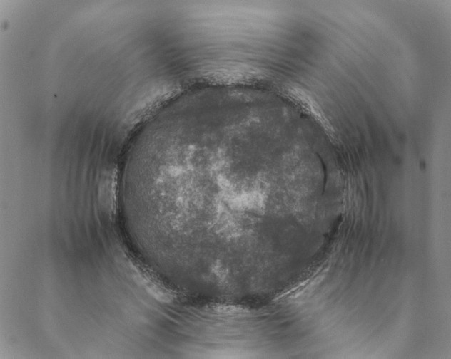 X0000088460590200706121506