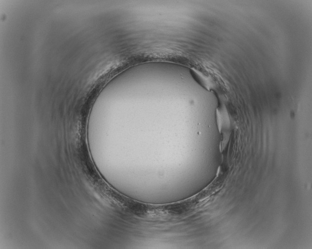 X0000088460591200706121506