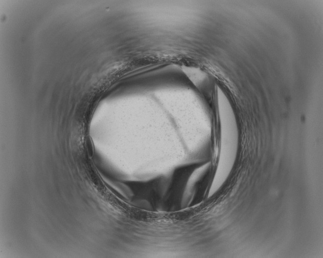 X0000088460593200706121506