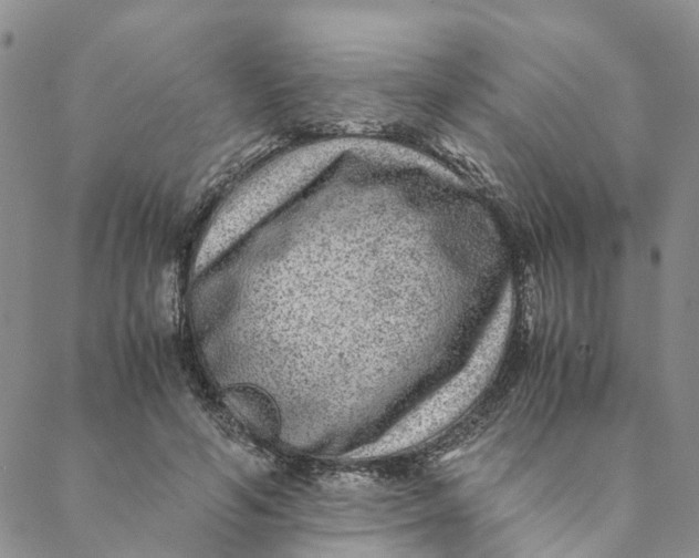 X0000088460594200706121506