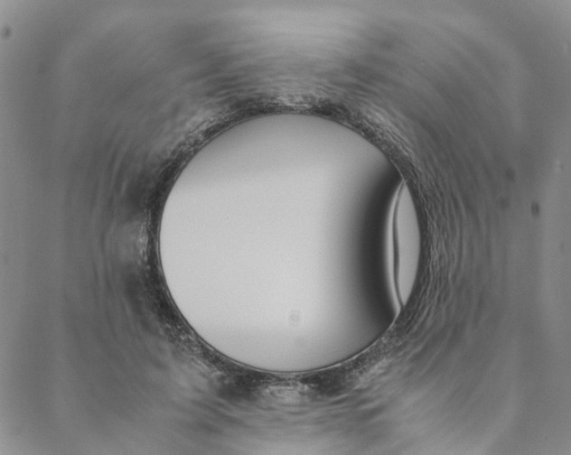 X0000088460595200706121506