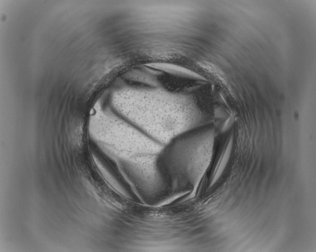 X0000088460596200706121506