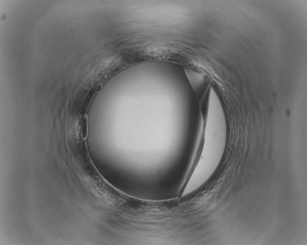 X0000088460597200706121506